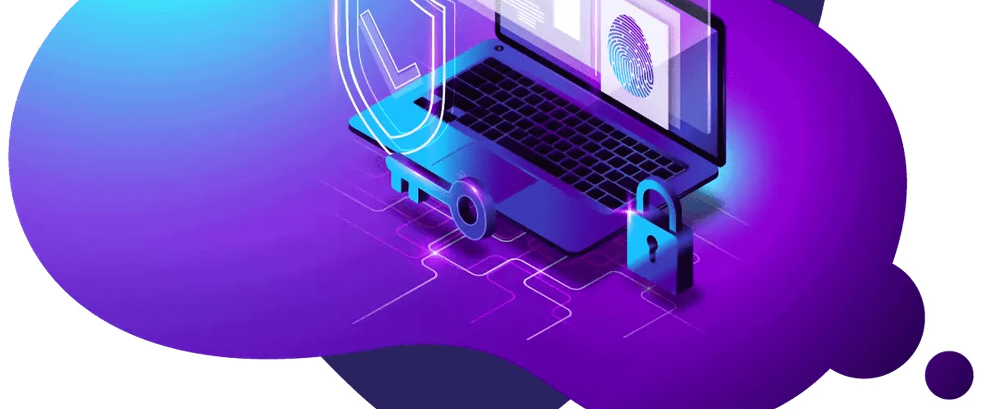 Understanding Privacy Rights for Online Police Reports